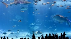 Největší oceanária na světě